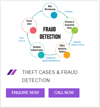 Theft Cases & Fraud Detection